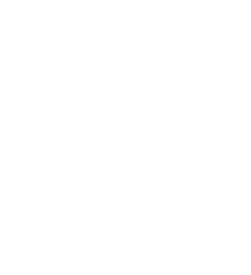 NAROZENINOVÉ OSLAVY